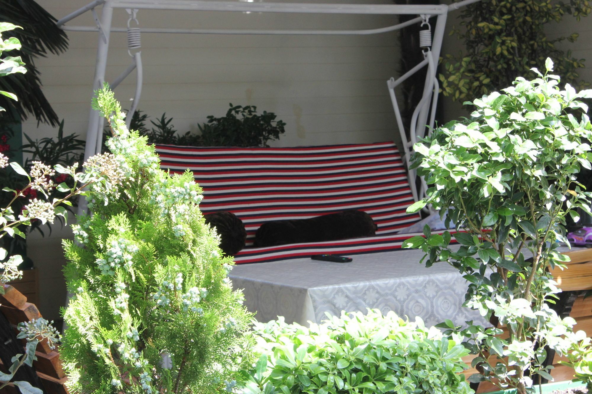 Vedzisi Garden Hotel Tiflis Dış mekan fotoğraf